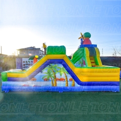 Custom small family backyard inflatable water slide with pool and small water gun for sale