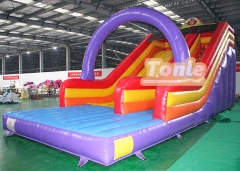 Little lion inflatable dry slide for sale