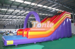 Little lion inflatable dry slide for sale