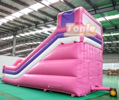 Mickey Mouse Themed Pink Inflatable Dry Slide For Sale