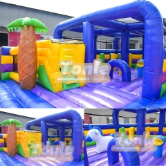 customized inflatable theme park