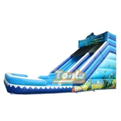 marble inflatable water slide