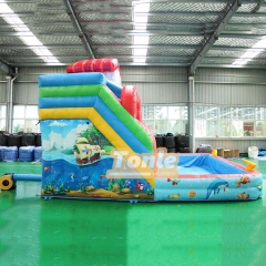 Underwater World Themed Inflatable Backyard Pool Slide