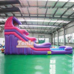 32FT Purple colorful water slide