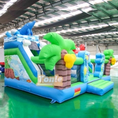 Ocean themed small inflatable playground