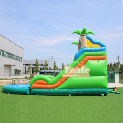 Tropical palm tree themed water slide with pool