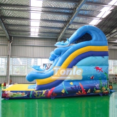 Ocean themed inflatable dry slide