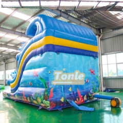 Ocean themed inflatable dry slide