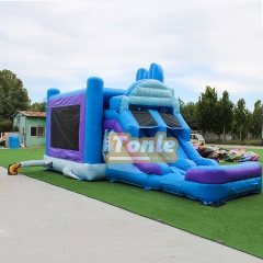 Disney Frozen Themed Inflatable Bounce House Water Slide Combo