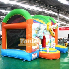 bouncy house w/ water slide