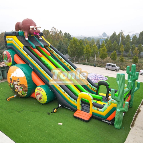 65*33FT Factory customized large inflatable slide