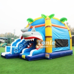 bouncy house w/ water slide