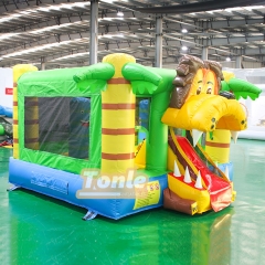 bouncy house w/ water slide