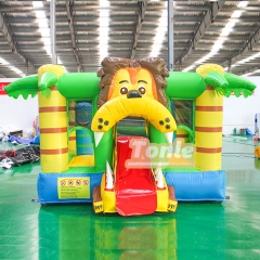 bouncy house w/ water slide