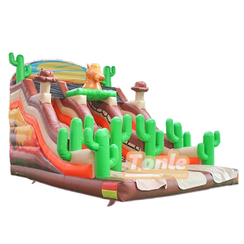 PVC high quality inflatable cactus theme slide