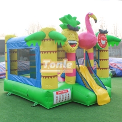 bouncy house w/ water slide