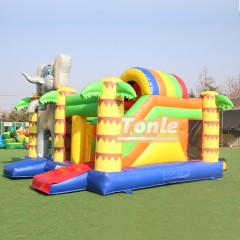 bouncy house w/ water slide