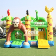 bouncy house w/ water slide