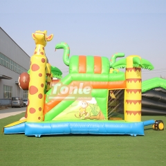 bouncy house w/ water slide