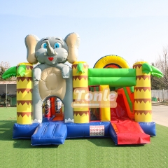 bouncy house w/ water slide