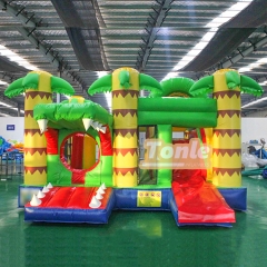 bouncy house w/ water slide