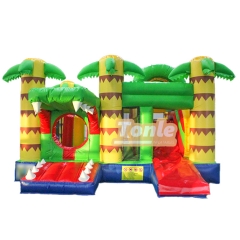 bouncy house w/ water slide