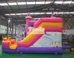 Disney Princess Theme Bouncy Castle Slide Combo