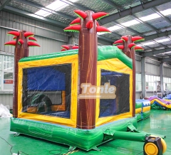 bouncy house w/ water slide