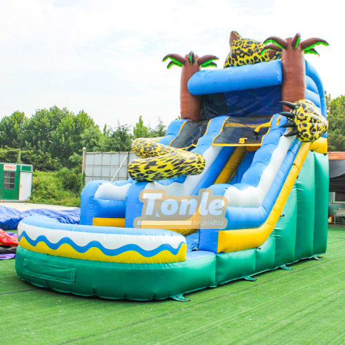 marble inflatable water slide
