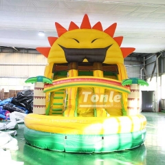 Paradise Sunshine inflatable Water Slide for sale