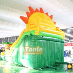 Paradise Sunshine inflatable Water Slide for sale