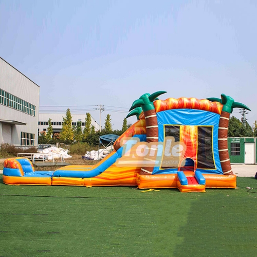 bouncy house w/ water slide