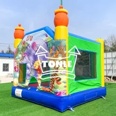 frozen bounce house