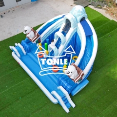 Ice World inflatable sonw Water Amusement Park