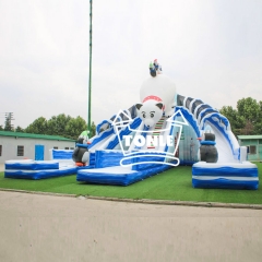 China factory Ice World inflatable Water pool slide