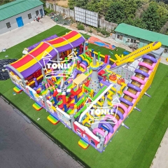 Supplier of customised inflatable themed playgrounds