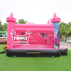 Frozen Princess Inflatable Jumping Castle Slide For Sale