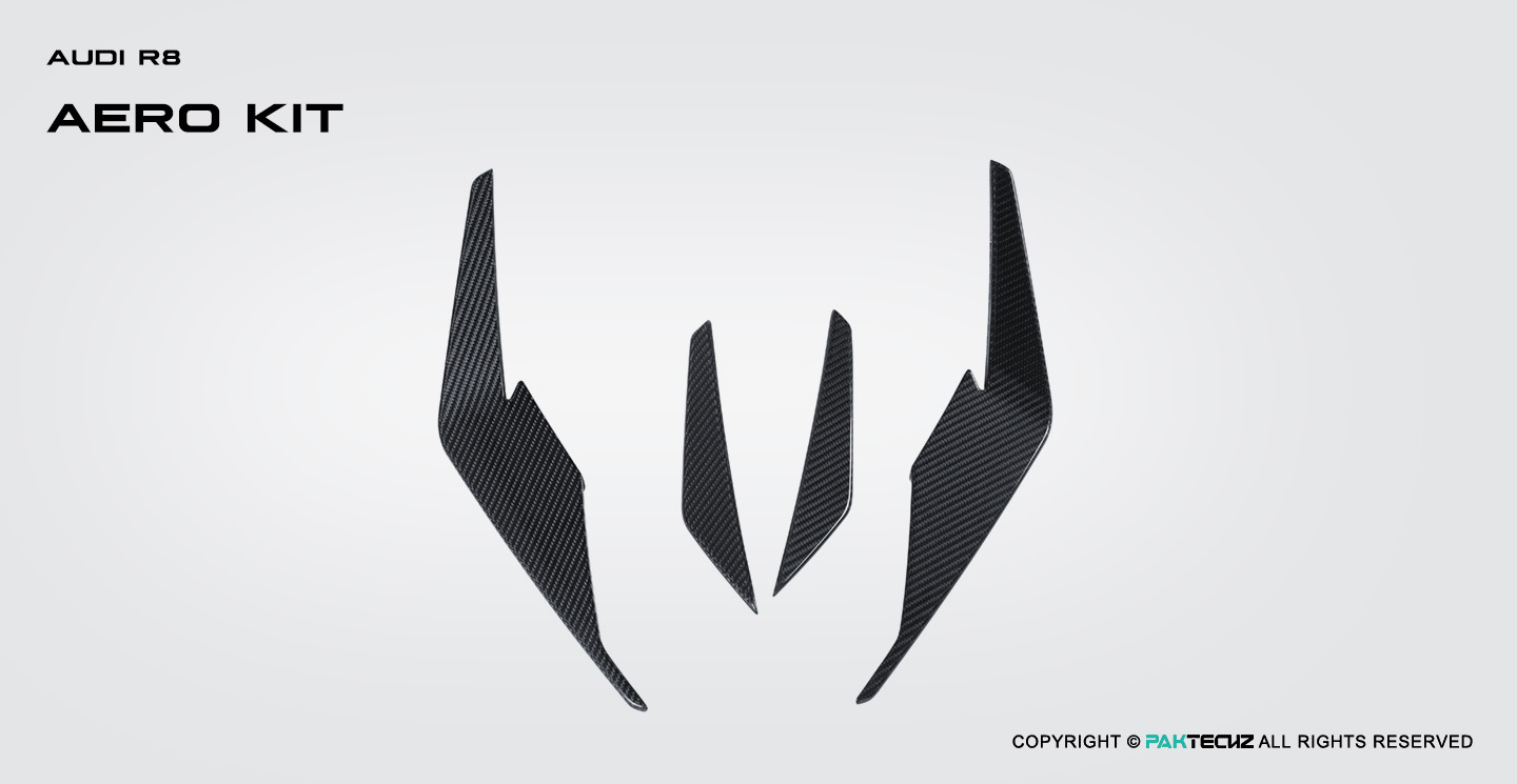 Audi R8 Paktechz Design Carbon Fiber Front Canards