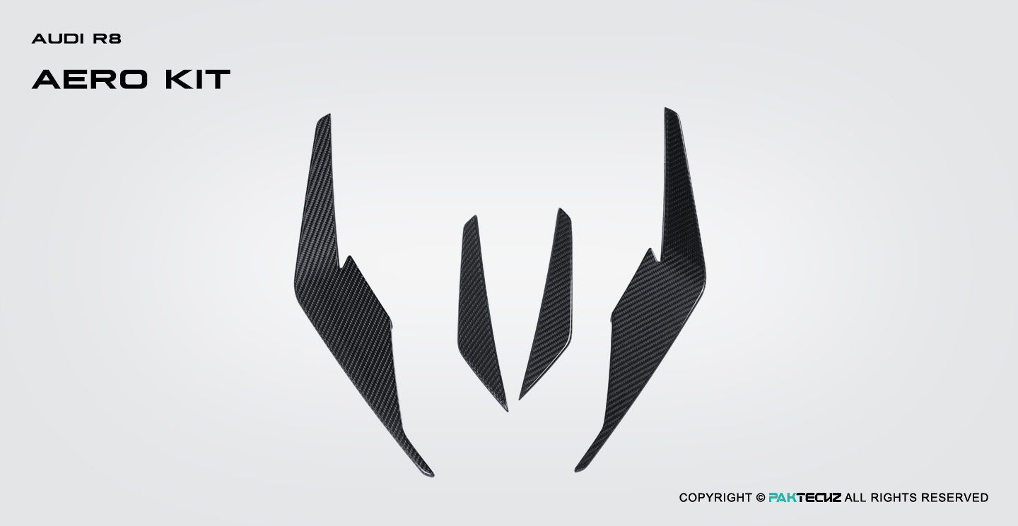 Audi R8 Paktechz Design Carbon Fiber Front Canards