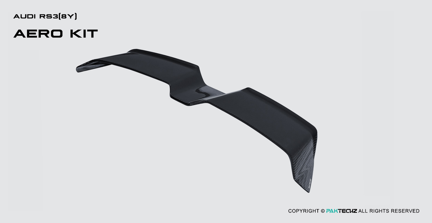Audi RS3 8Y Paktechz Design Carbon Fiber Roof Spoiler