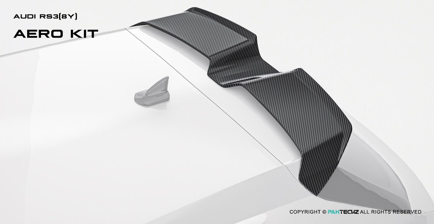 Audi RS3 8Y Paktechz Design Carbon Fiber Roof Spoiler