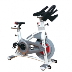 Luxury Aluminum Spinning Bike