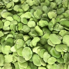 FROZEN BROAD BEANS