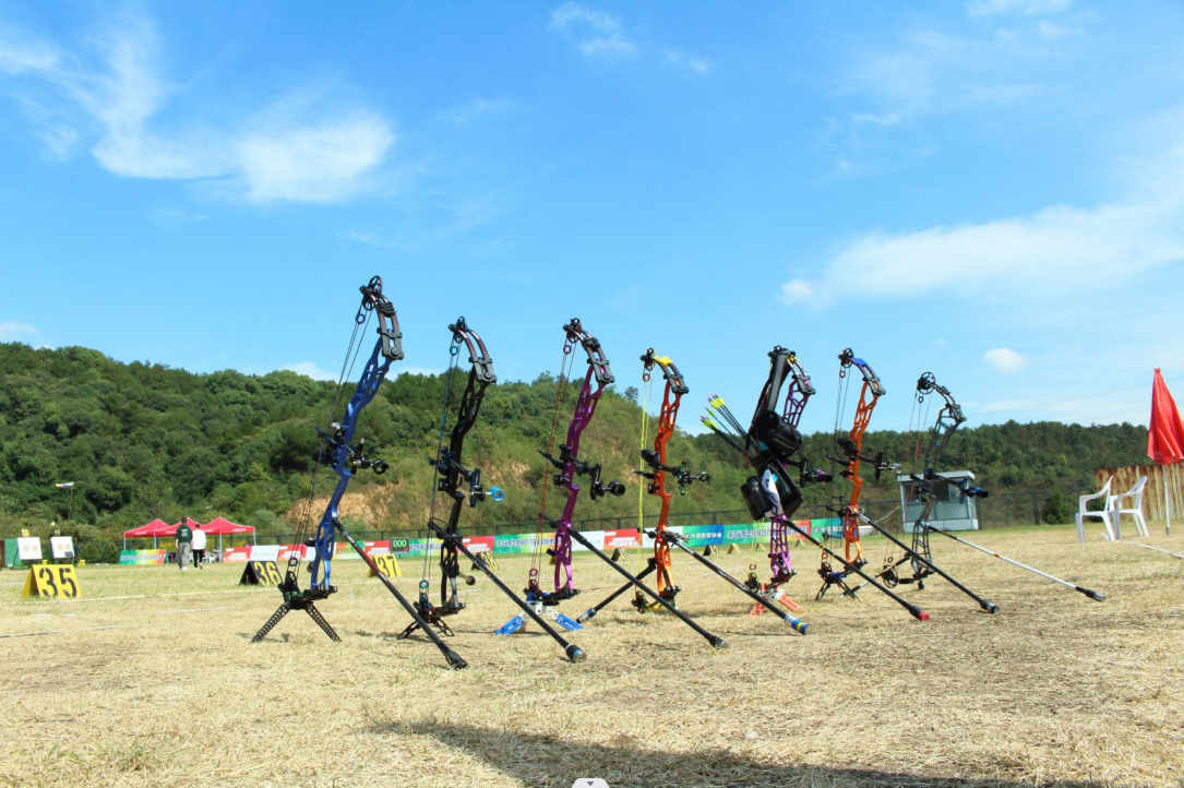 Why Compound Bows Are the GoTo Choice for Modern Archers