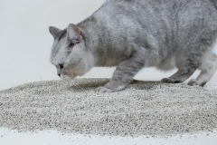 中诺酷奇-A Bentonite Cat Litter 0.5-2mm Strong Clumping 8KG