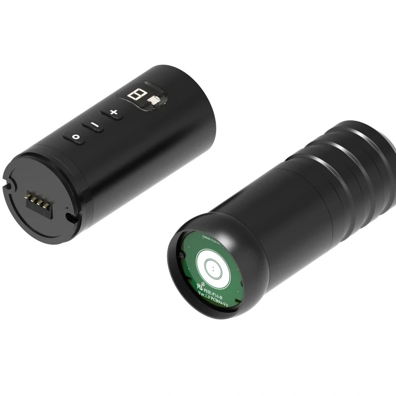 4mm Stroke Wireless Tattoo Pen 1650mAh Battery Swiss Motor Stable 2A Output Professional Tattoo Equipment LCD Display