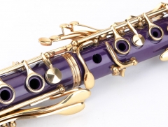 Purple Body Gold Key Clarinet
