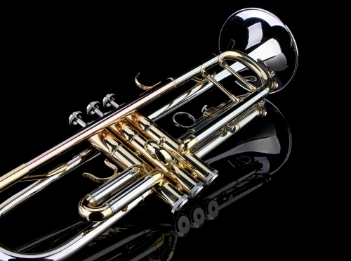 Double-Braced Trumpet