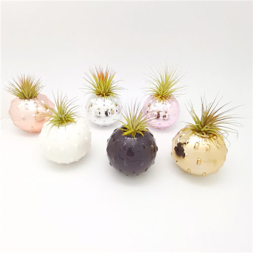 Air Plant Floating Ball Planter With 6 Colors Assorted