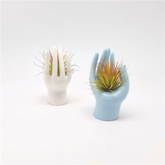 Ceramic Hand Air Plant Mounting Base